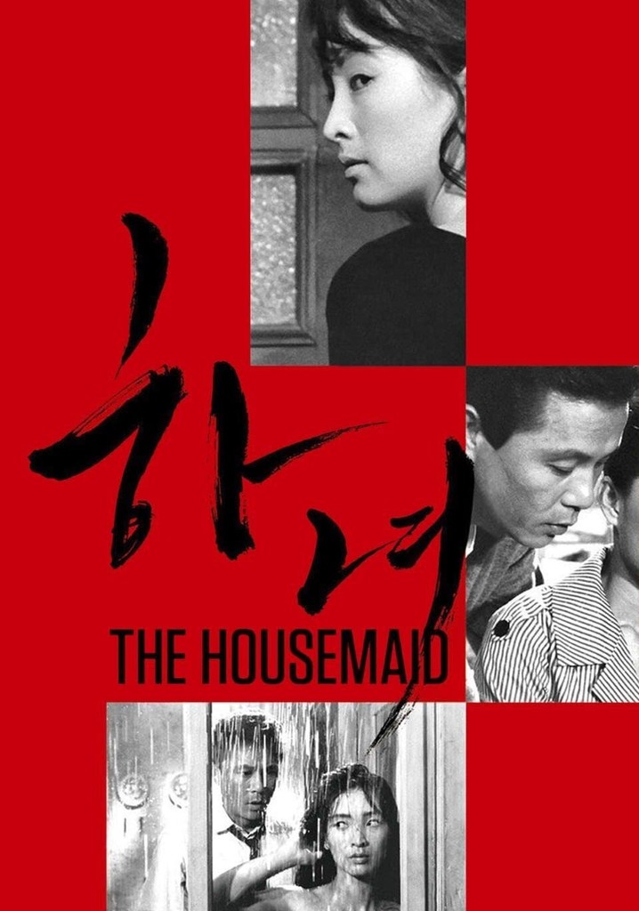 The Housemaid streaming where to watch online?